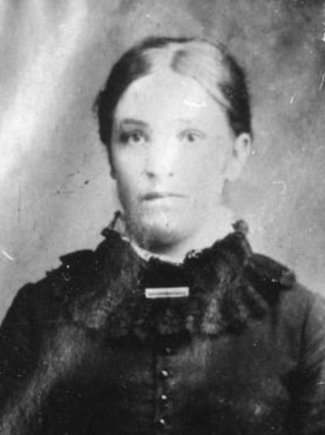 Sarah Ann Cox (1851 - 1931) Profile